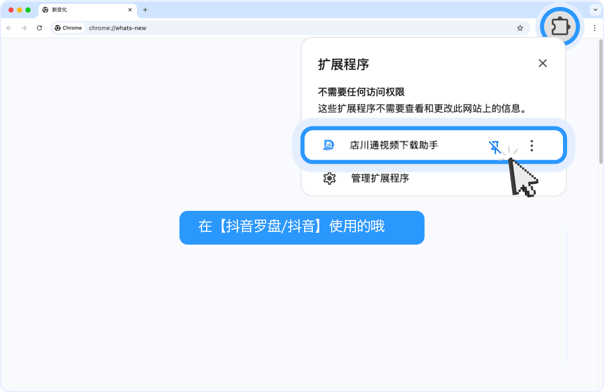 店川通视频素材助手在 Chrome 浏览器的扩展程序管理页面